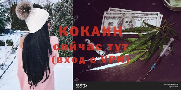 стаф Богородицк