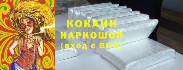 стаф Богородицк