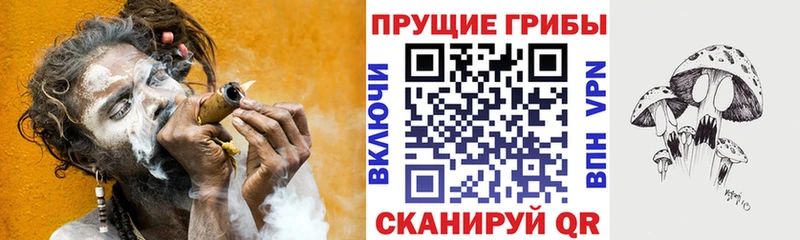 Галлюциногенные грибы Psilocybe  Городище 