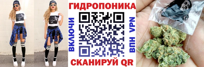 Шишки марихуана конопля  даркнет сайт  Городище 